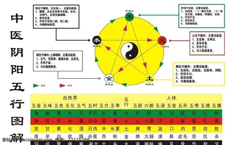 音 五行|五音（中医术语）